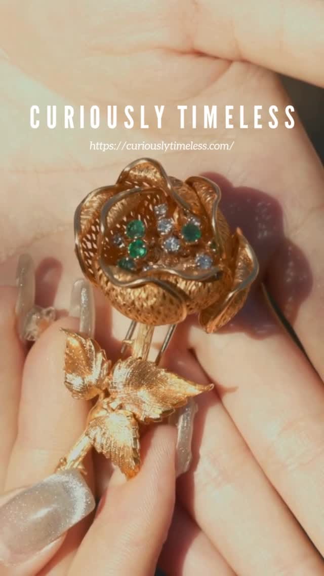 Post 8 by CuriouslyTimeless on Instagram (video)