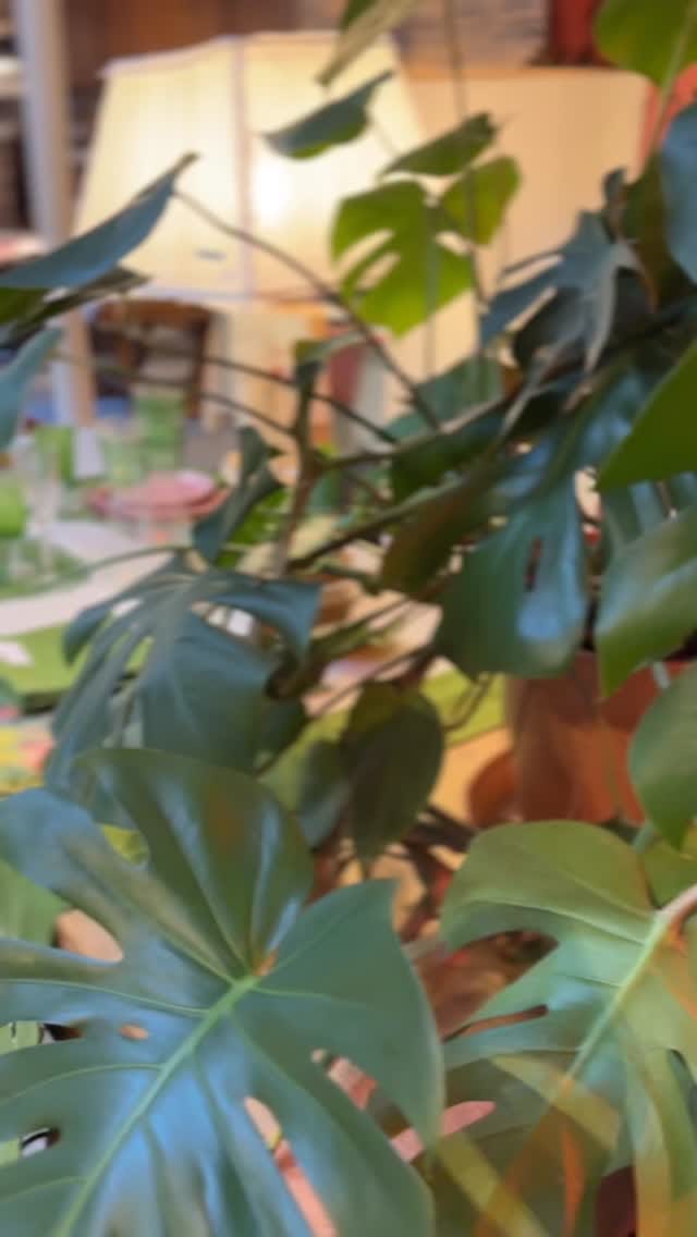 Post 3 by Borgo delle Tovaglie on Instagram (video)