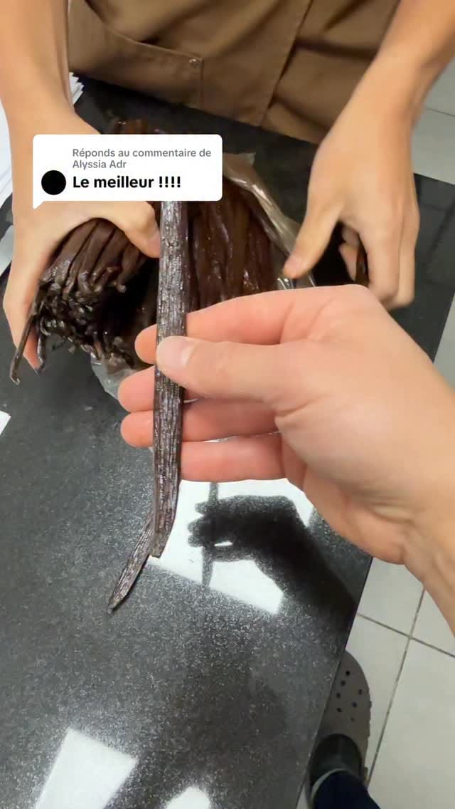 Post 9 by Mr Coco on Instagram (video)