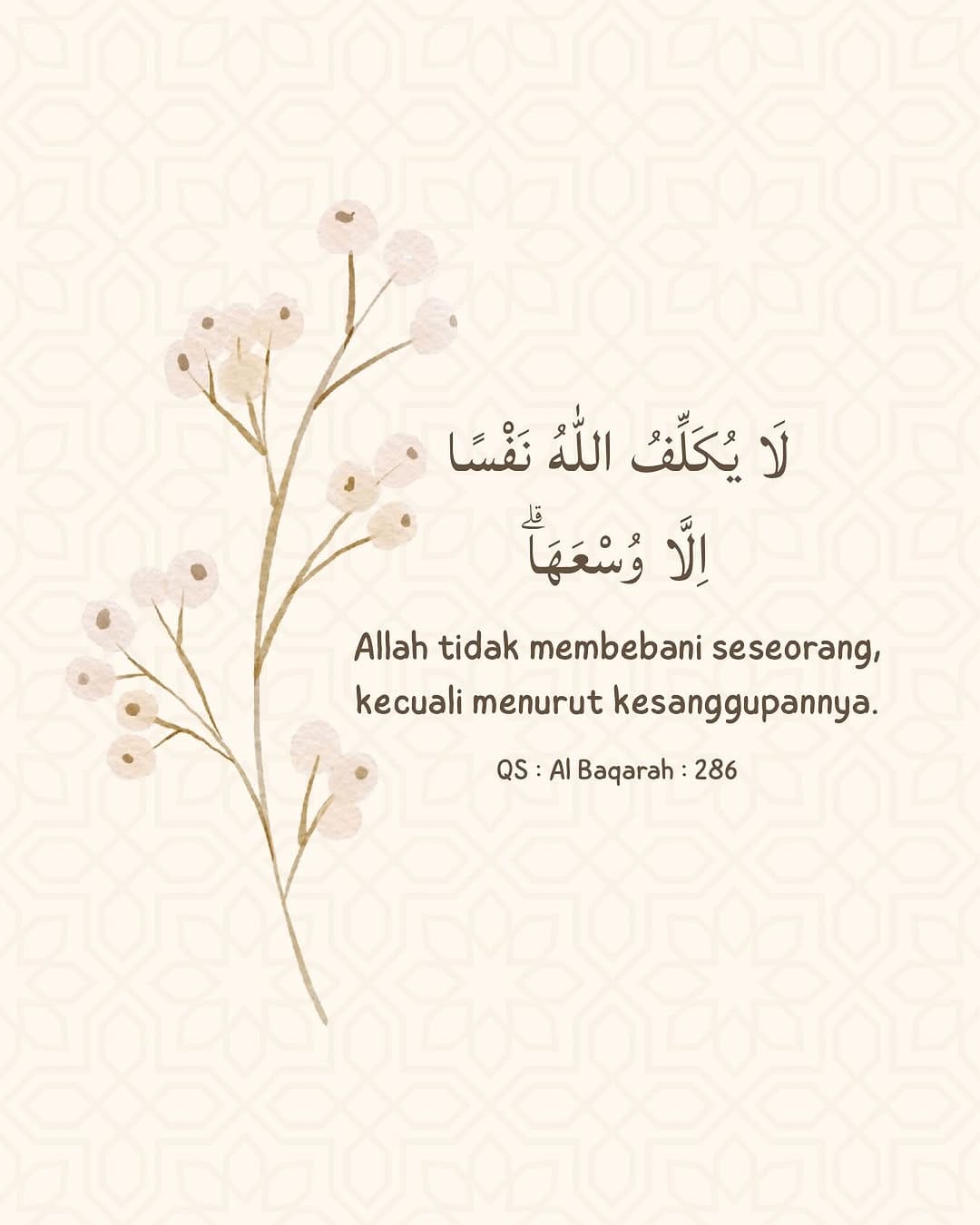 Post 2 by Premium Apparel & Stuff on Instagram (image)