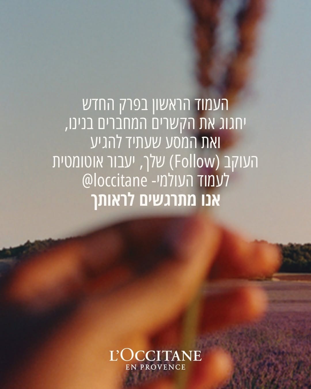 Post 4 by L’Occitane Israel on Instagram (carousel)