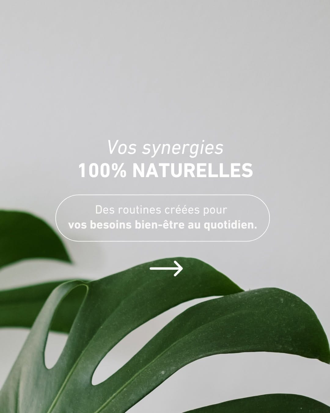 Post 9 by L'Officine Immortelle · Herboristerie Française on Instagram (carousel)
