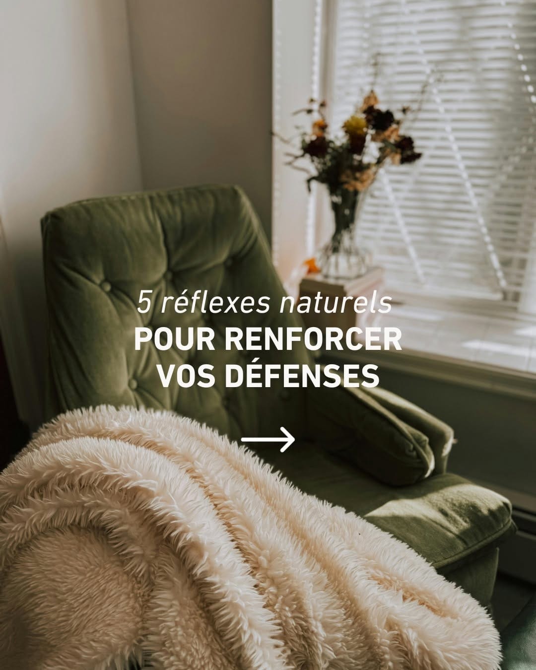 Post 7 by L'Officine Immortelle · Herboristerie Française on Instagram (carousel)