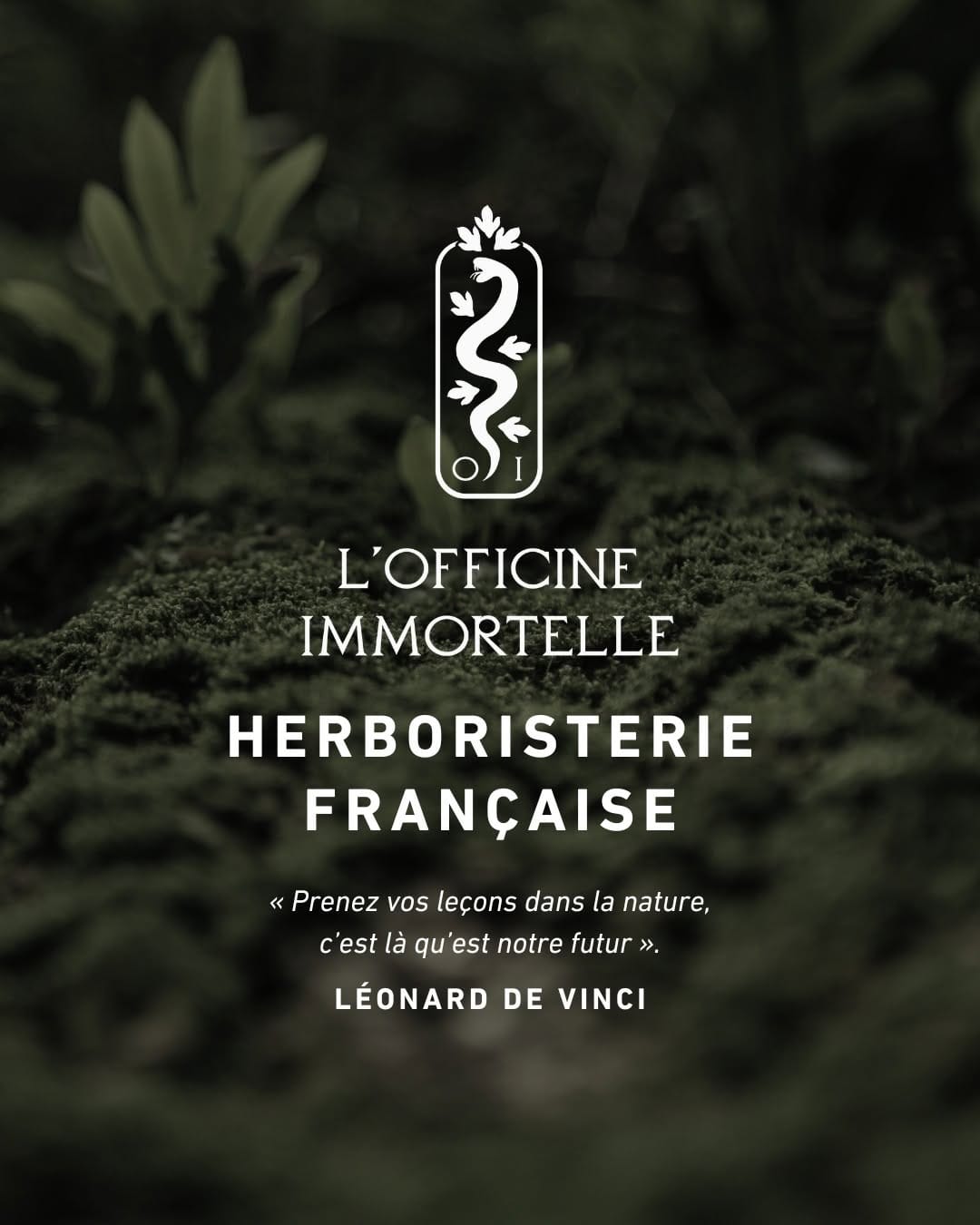 Post 10 by L'Officine Immortelle · Herboristerie Française on Instagram (carousel)