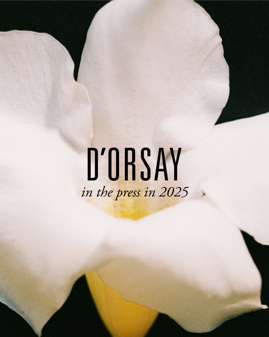 Post 4 by D’ORSAY on Instagram (carousel)
