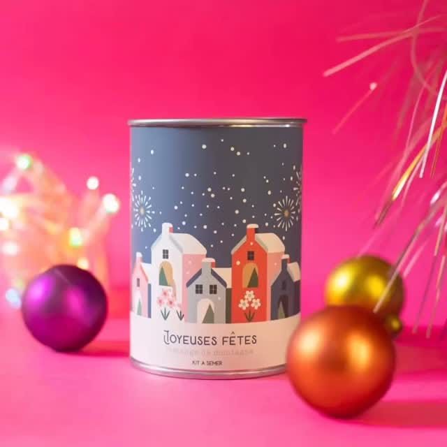 Post 6 by Les Petits Yéyés on Instagram (video)