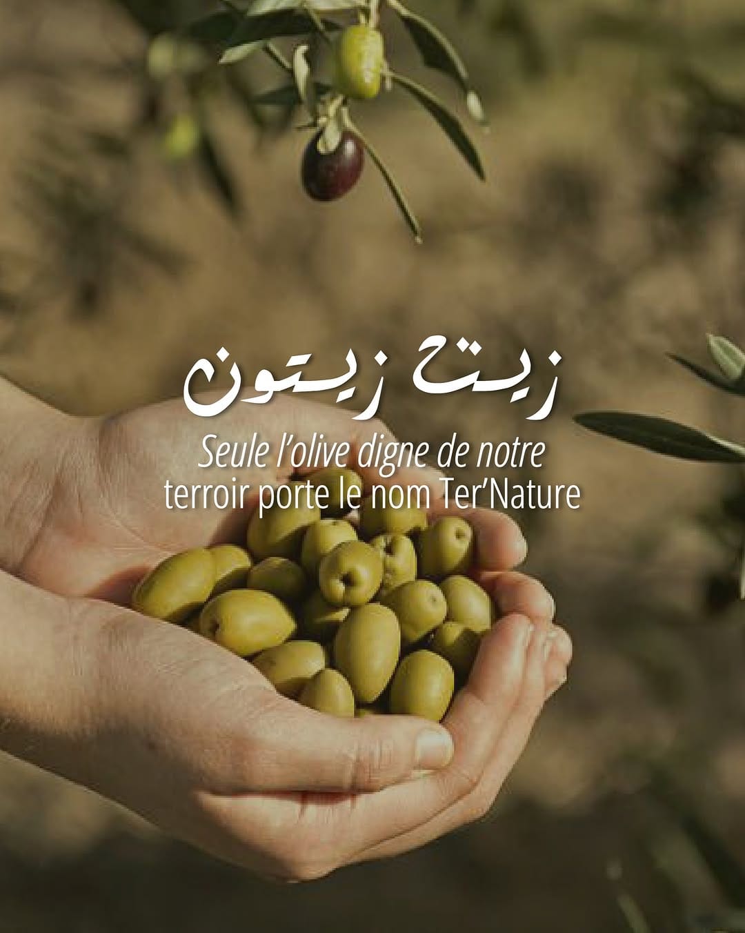 Post 2 by Ter'nature | Produits et coffrets du terroir on Instagram (image)