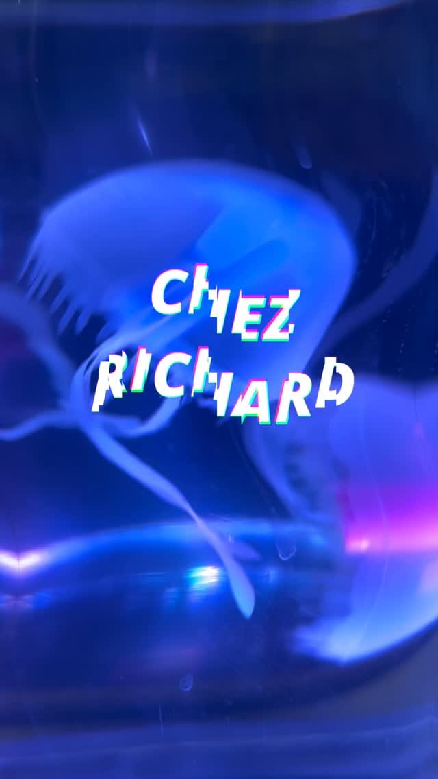 Post 8 by Les Puces chez Richard on Instagram (video)