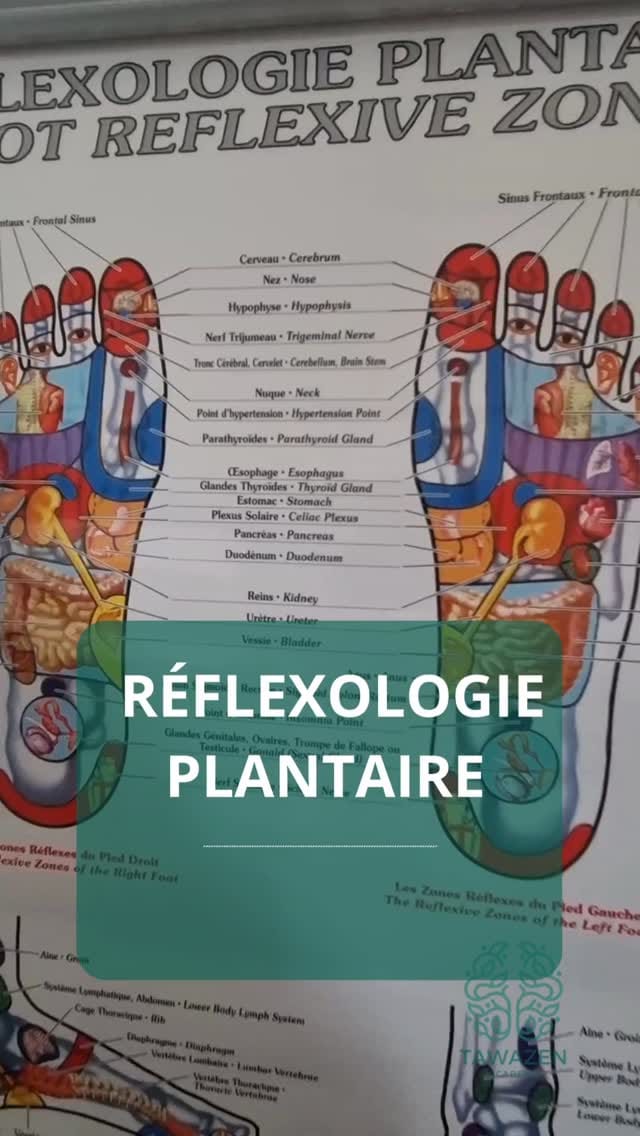 Post 10 by Amina MENNAD | biologiste & Naturopathe ☘️ on Instagram (video)