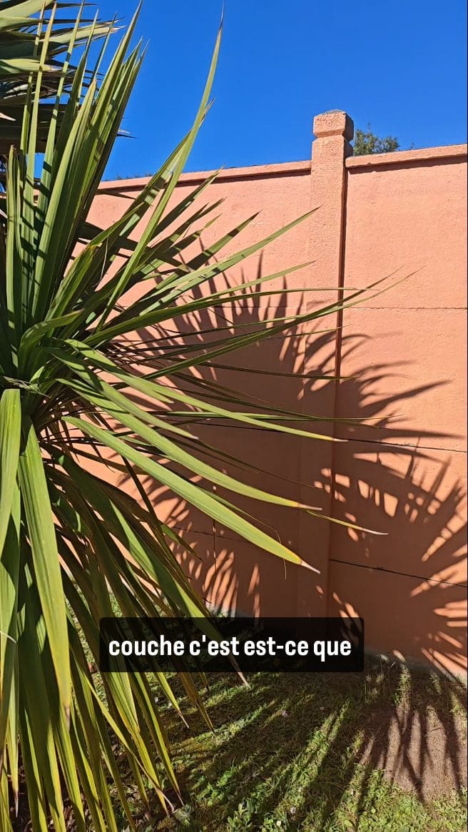 Post 4 by Charlotte | Positives Vibes 🌈 on Instagram (video)