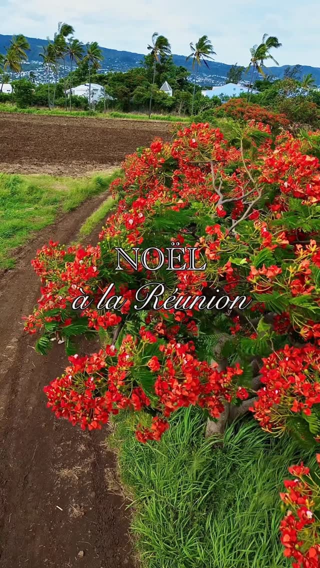 Post 3 by 𝓜𝓸 (pour les intimes) on Instagram (video)