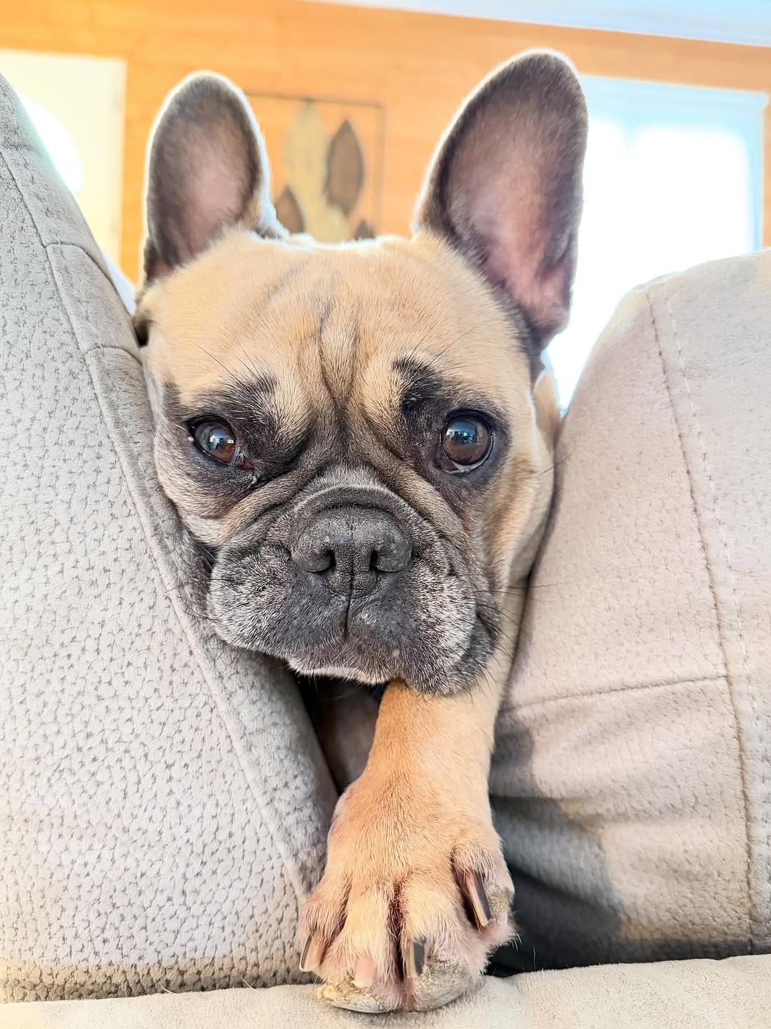 Post 10 by @manolyna on Instagram (image)