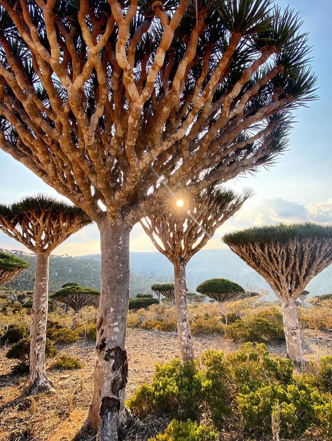 Post 8 by Gilles Massé on Instagram (image)