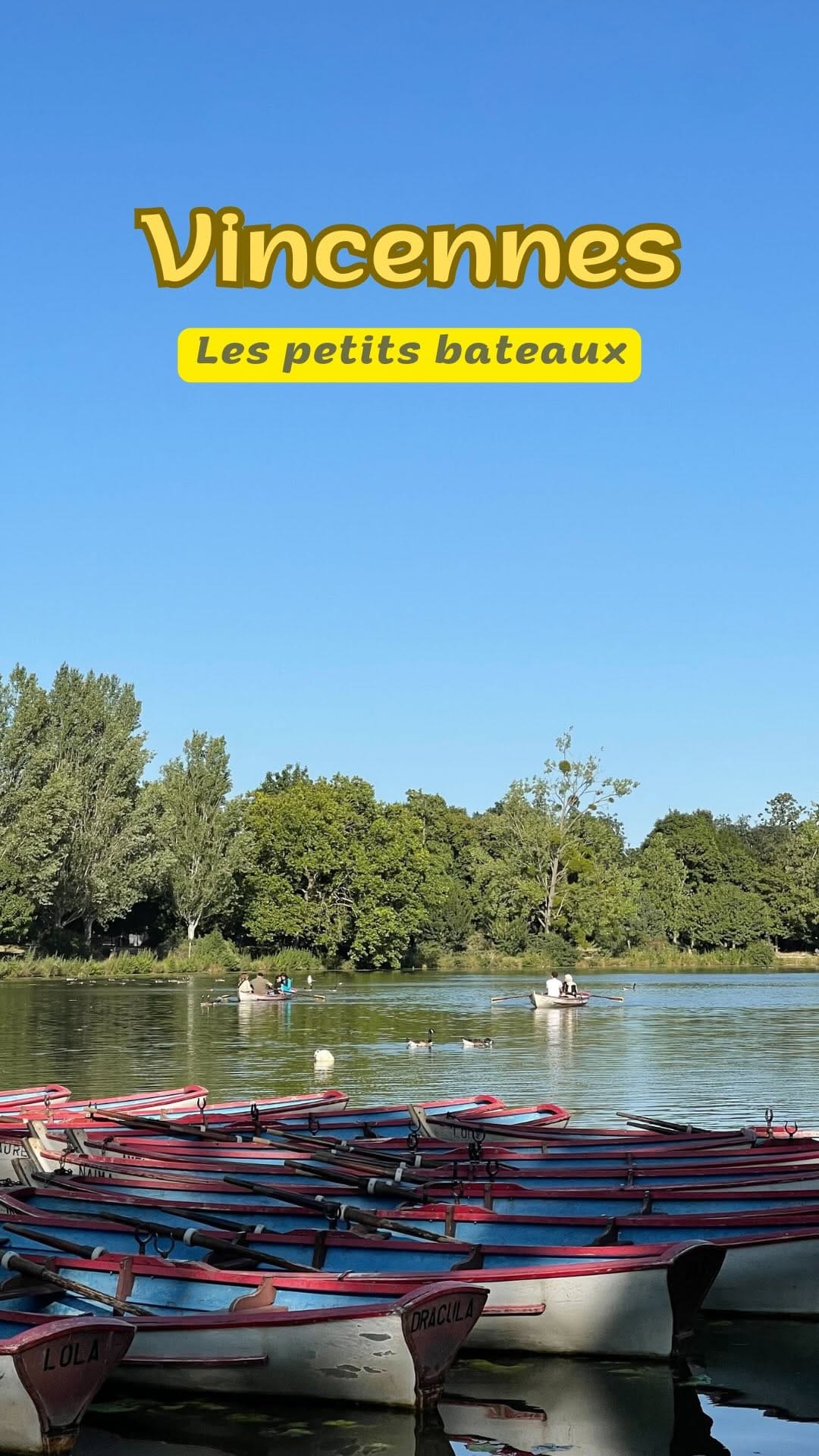 Post 6 by Cédric on Instagram (video)