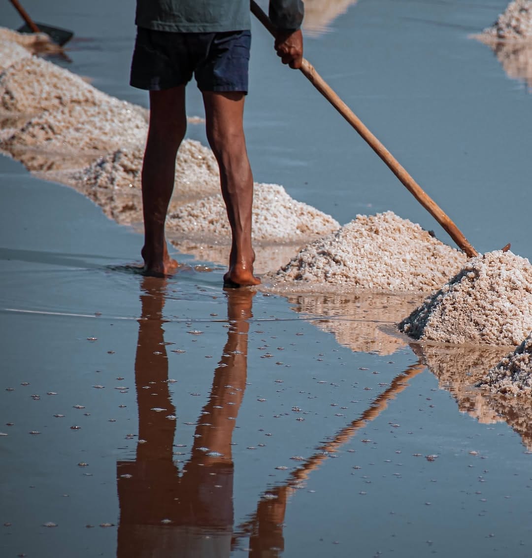 Post 8 by La Plantation Kampot on Instagram (image)