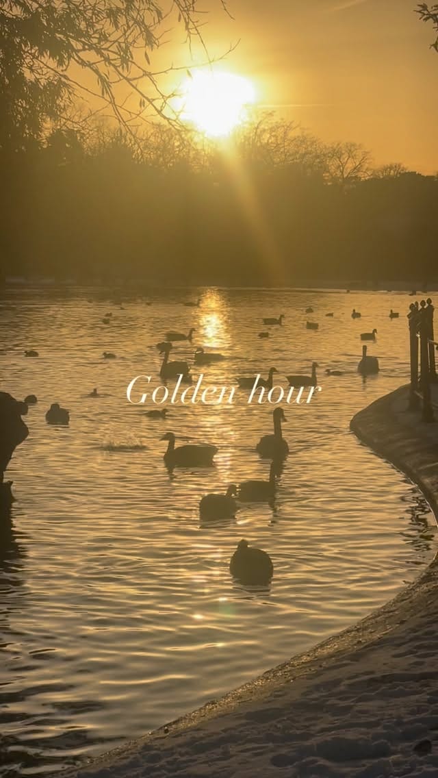 Post 1 by CHICO SHIGETA on Instagram (video)