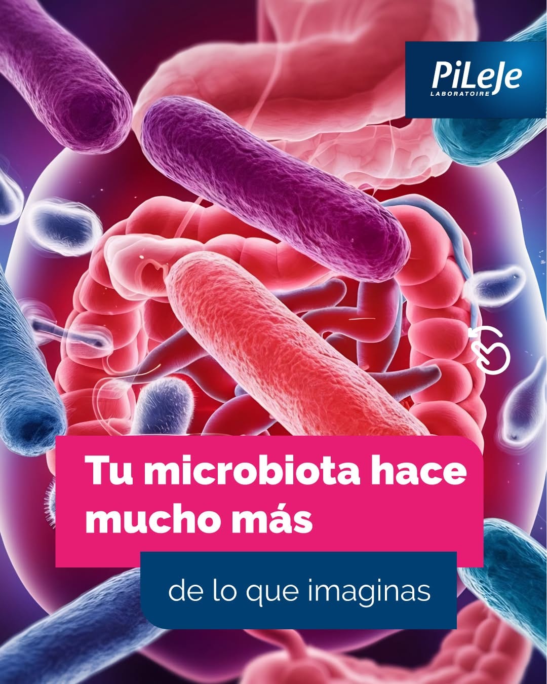 Post 10 by Probióticos  Lactibiane on Instagram (carousel)