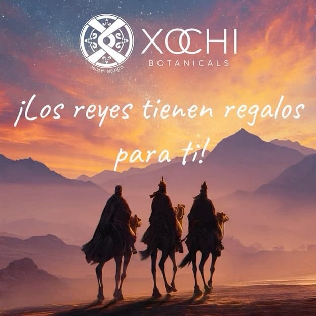 Post 3 by XOCHI BOTANICALS on Instagram (carousel)