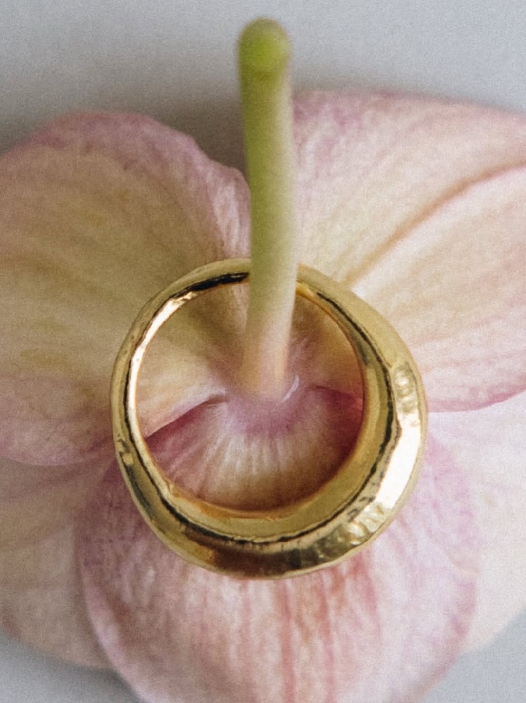 Post 3 by Aude Lemaitre • brand photographer on Instagram (image)
