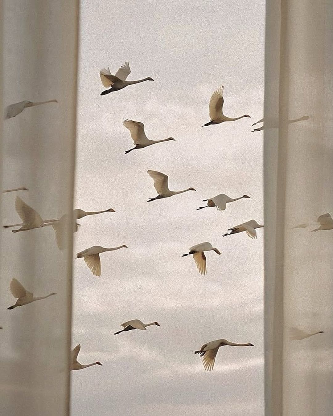 Post 6 by La Maison • Nad Yut on Instagram (image)