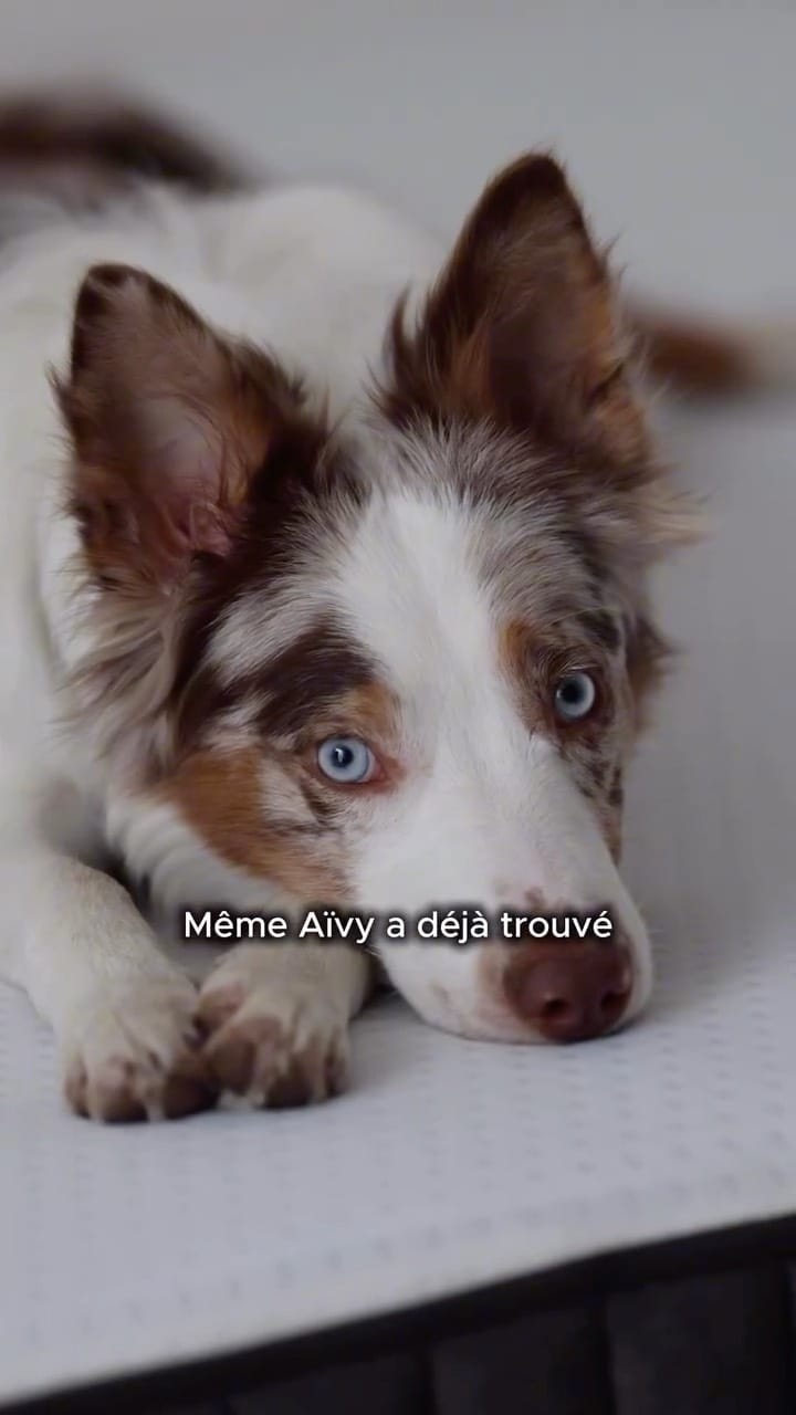 Post 1 by Lucie B. on Instagram (video)