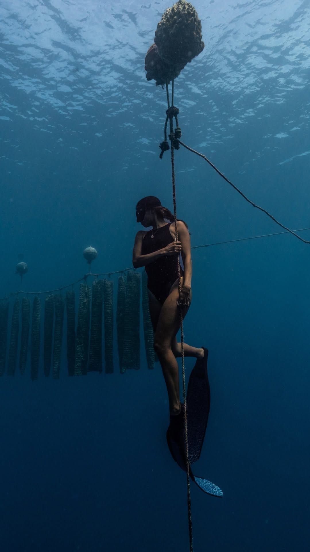 Post 7 by Maison Didariel on Instagram (video)
