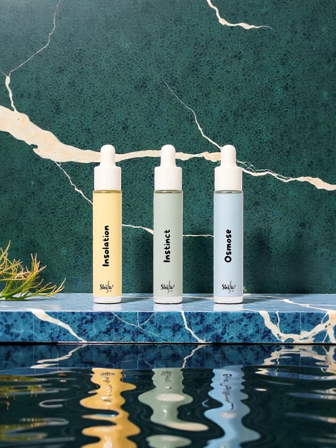 Post 2 by Vɪᴠʀᴇ ᴍɪᴇᴜx ᴄʜᴀϙᴜᴇ ᴊᴏᴜʀ. on Instagram (carousel)