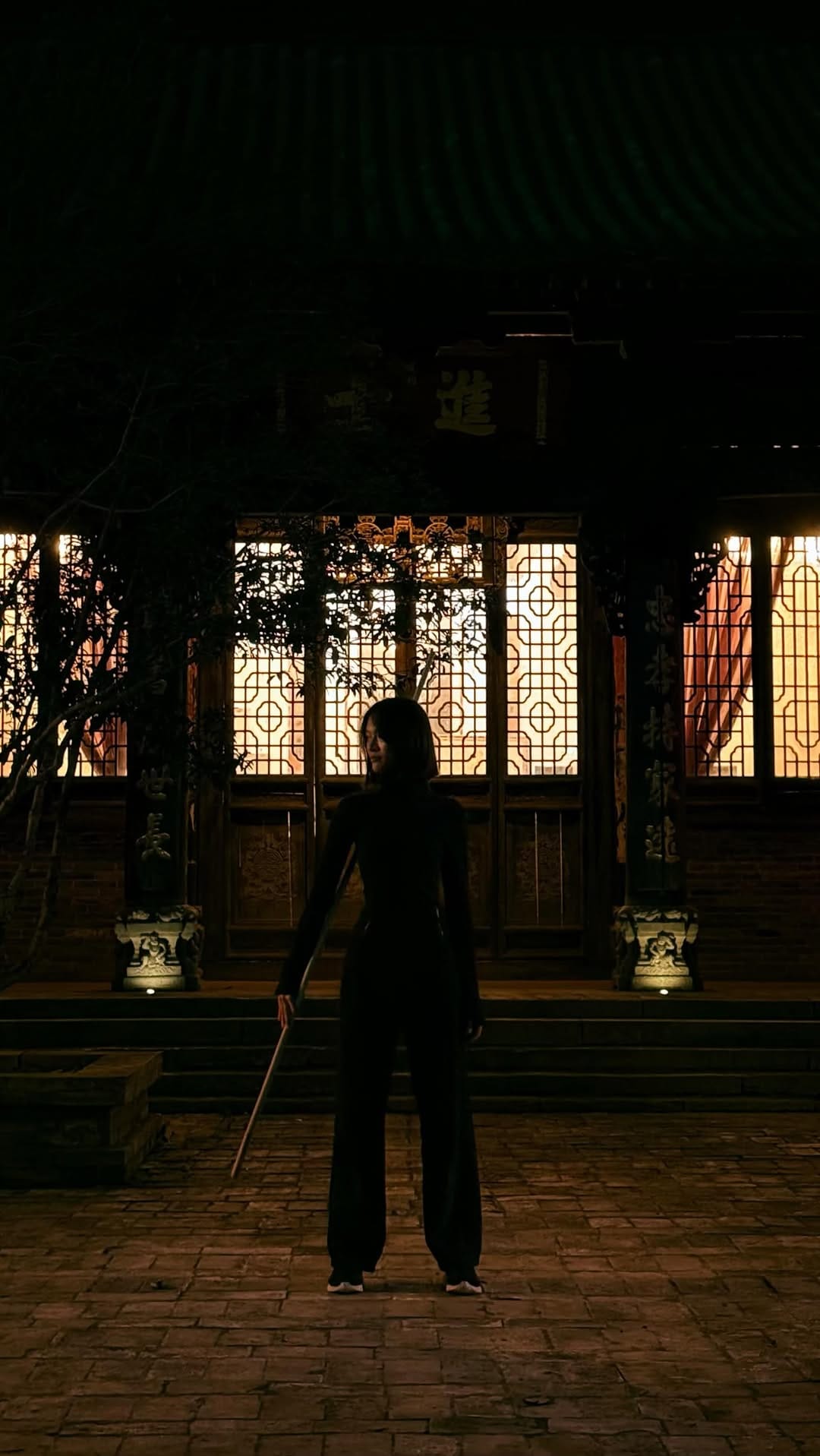 Post 4 by Lucy Qiu (not Qui) on Instagram (video)