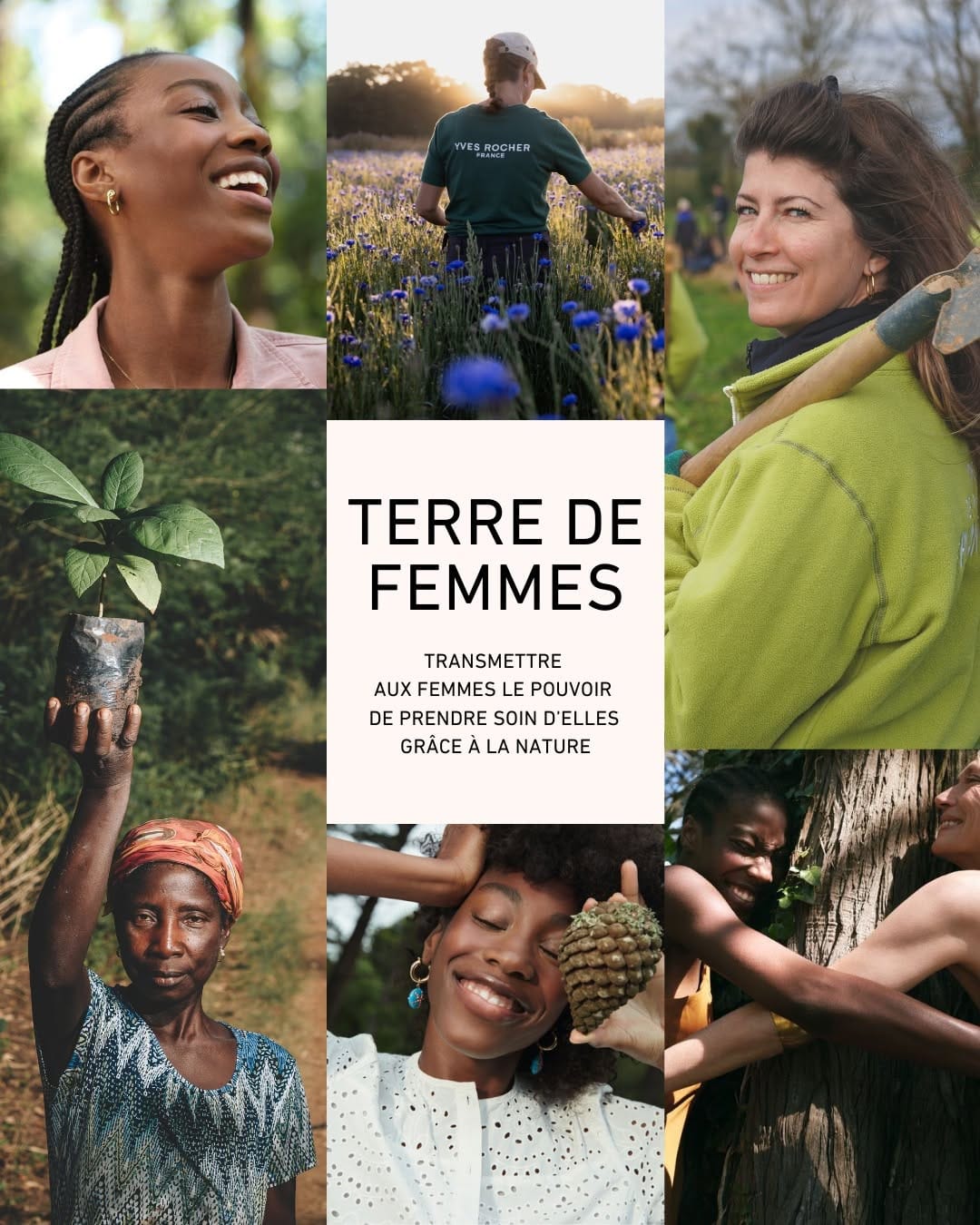 Post 6 by Yves Rocher Guyane on Instagram (image)