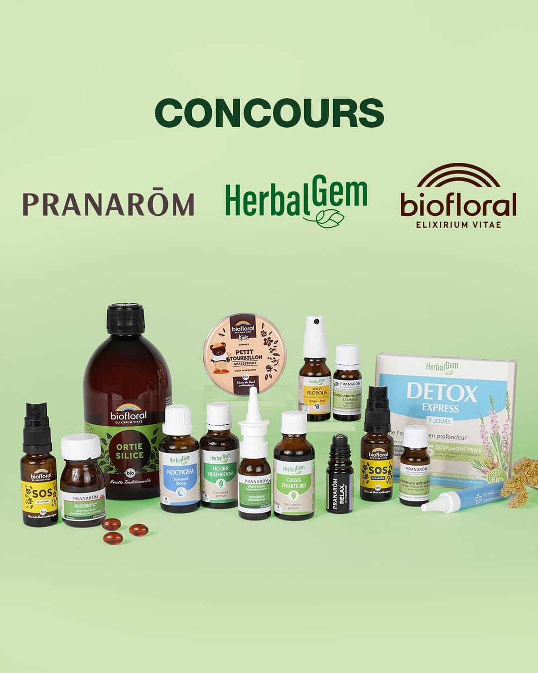 Post 9 by Herbalgem - Gemmothérapie 🌱 on Instagram (image)