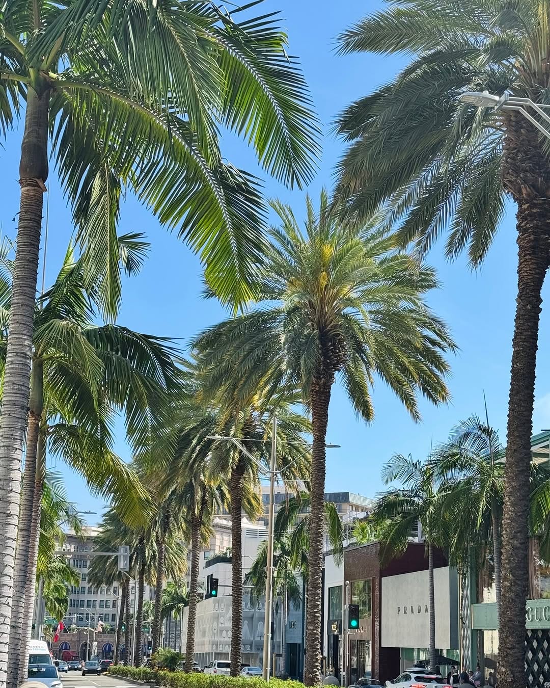 Post 6 by Rodeo Drive on Instagram (image)