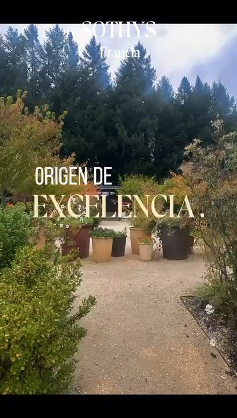 Post 5 by Sothys México on Instagram (video)