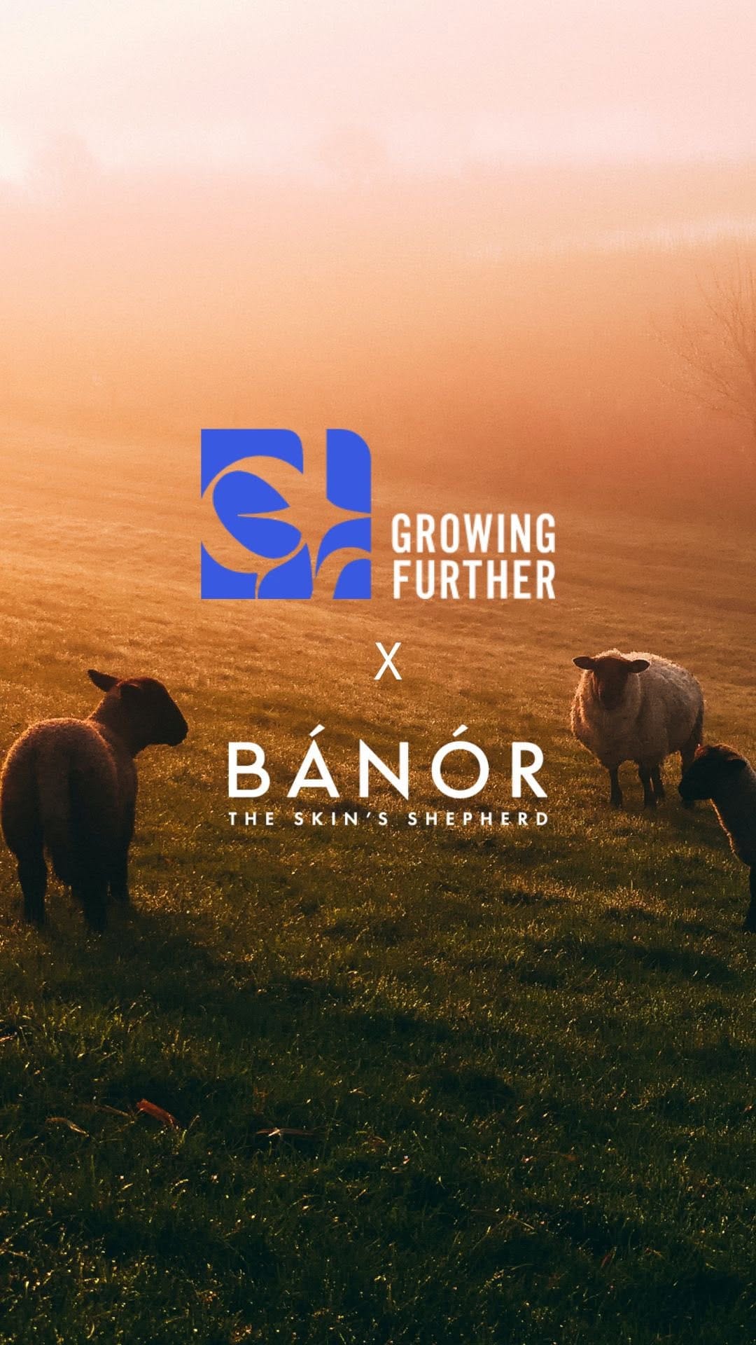 Post 6 by Bánór on Instagram (video)