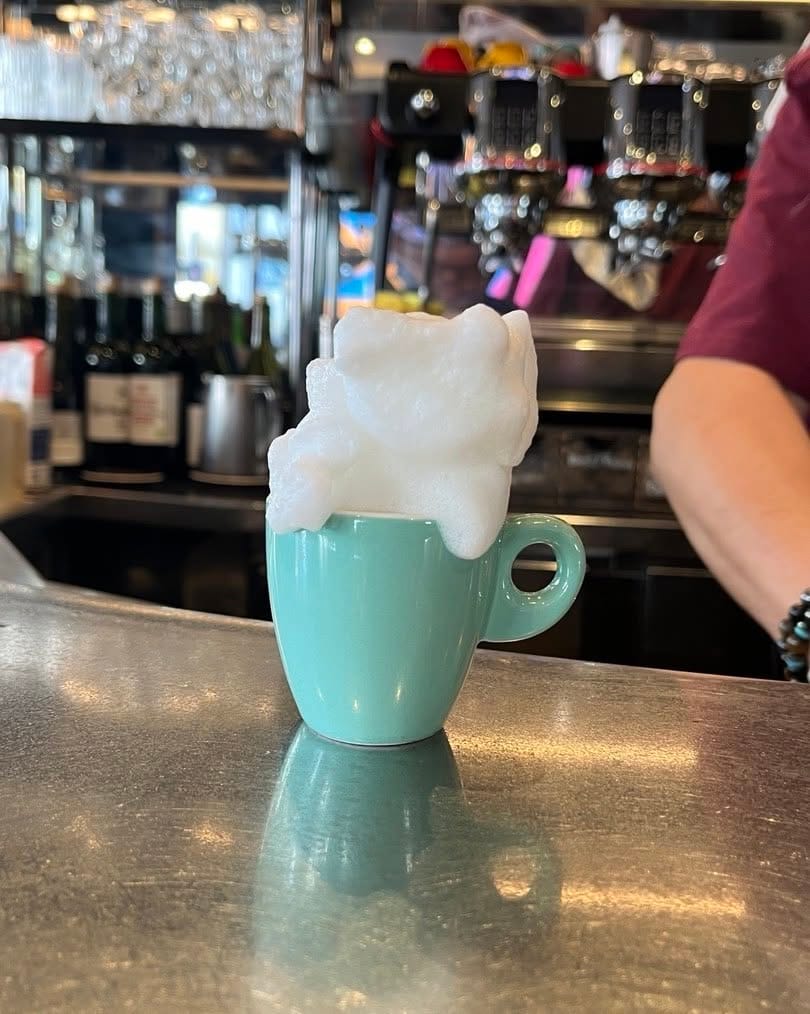 Post 10 by Caractère de Cochon on Instagram (image)