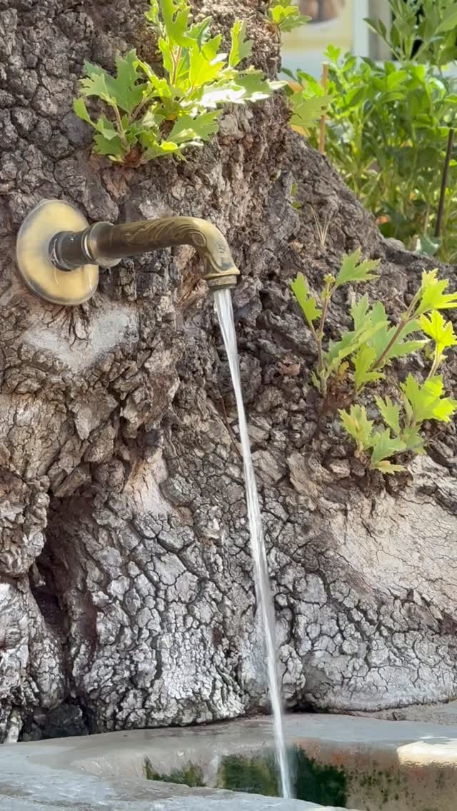 Post 2 by Caractère de Cochon on Instagram (video)