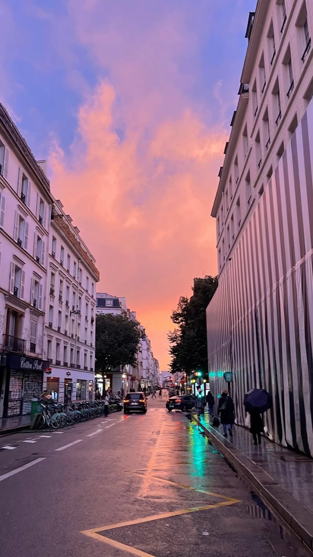 Post 9 by Caractère de Cochon on Instagram (video)