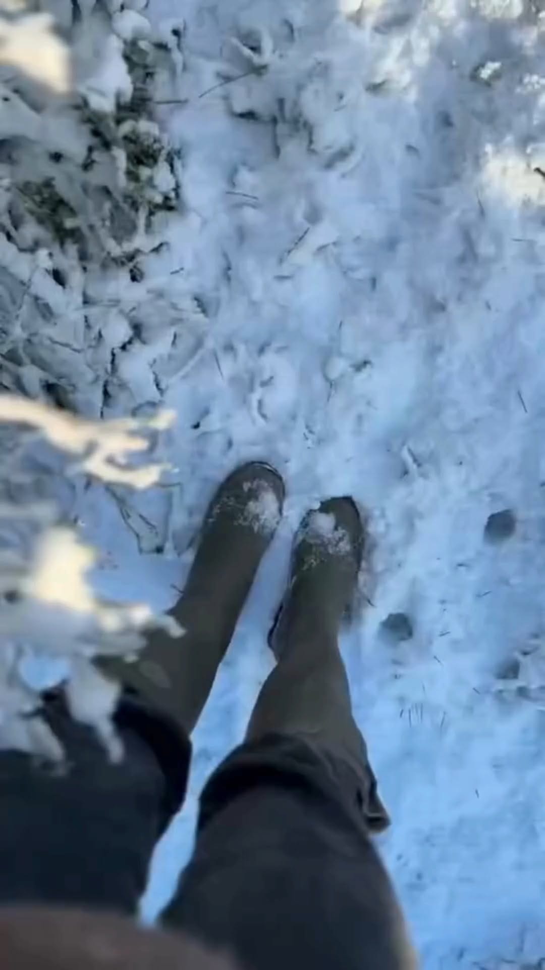 Post 7 by Le Chameau on Instagram (video)