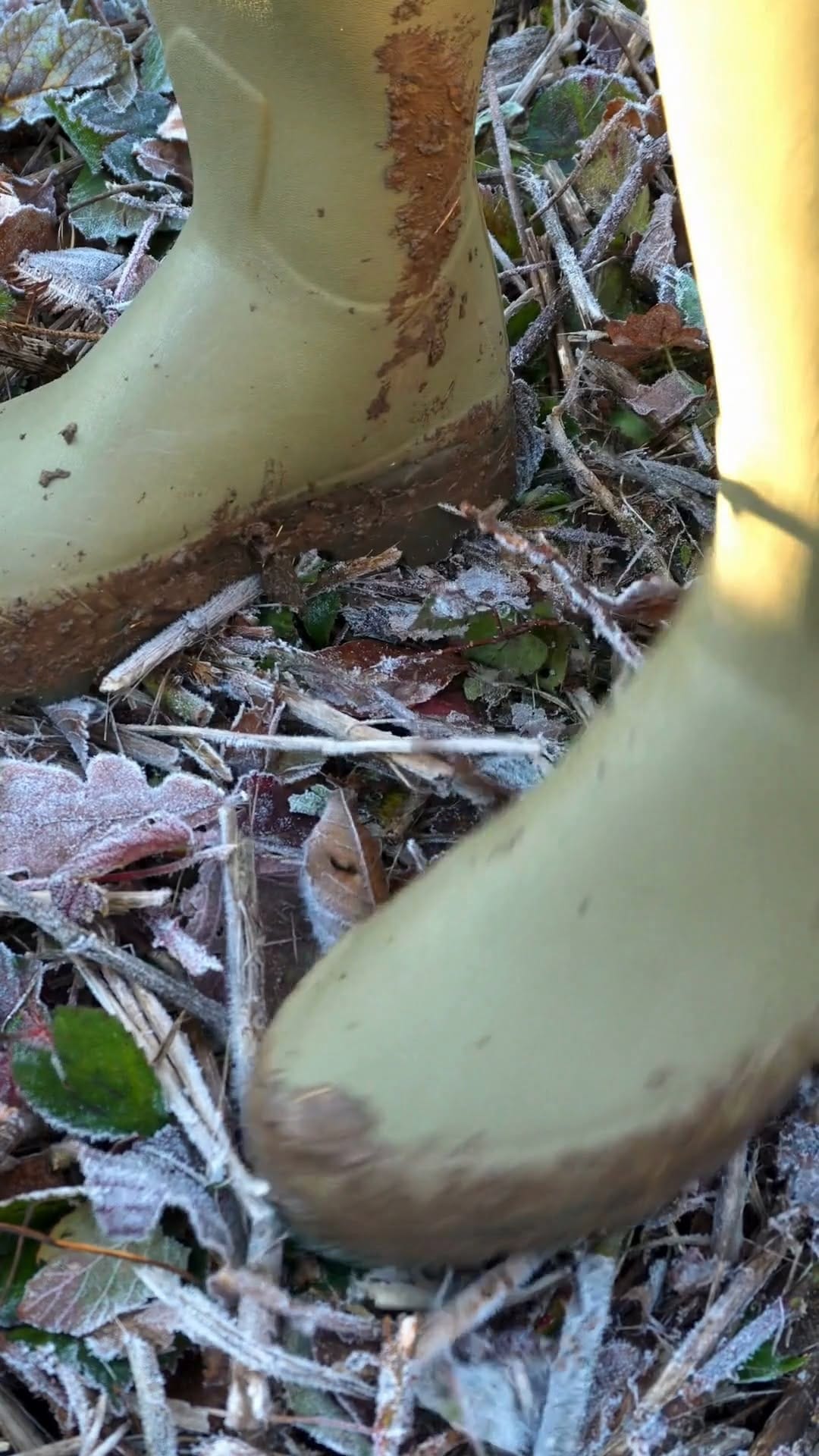 Post 2 by Le Chameau on Instagram (video)
