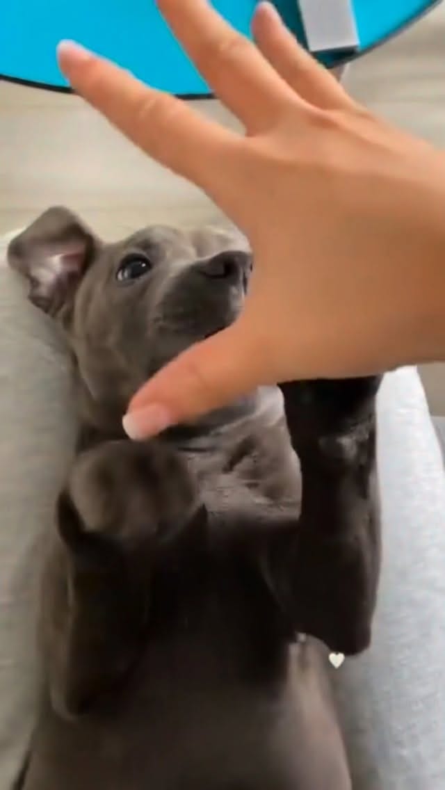 Post 3 by I N È S on Instagram (video)
