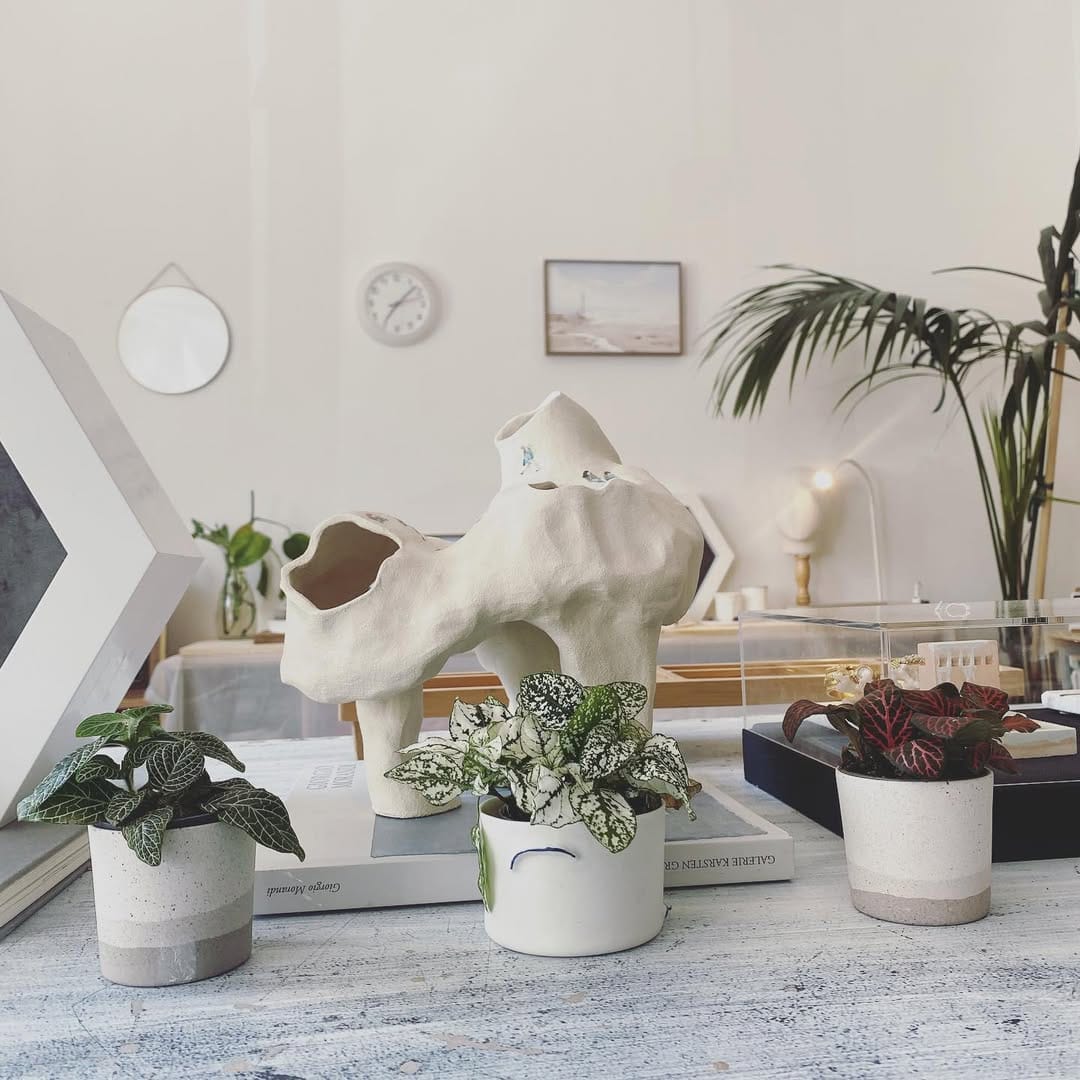 Post 6 by POUR TOI concept store on Instagram (image)