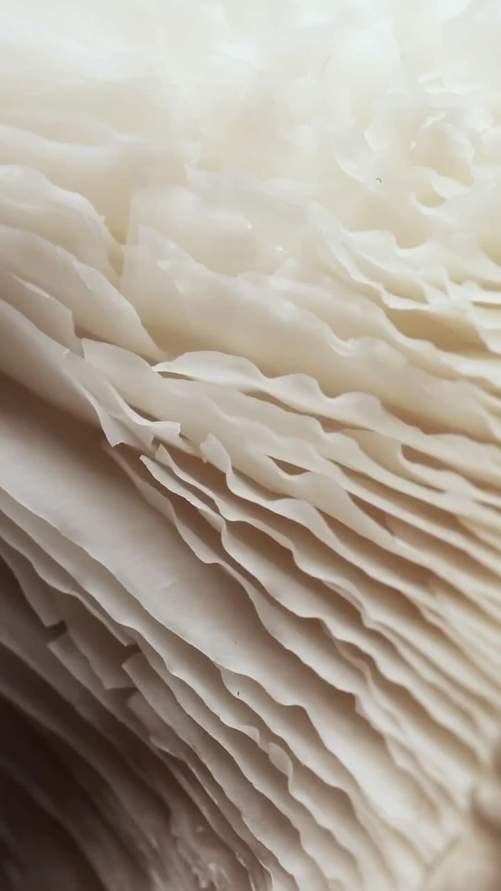 Post 9 by FLORA - Molecular Skin Therapy For Hair on Instagram (video)