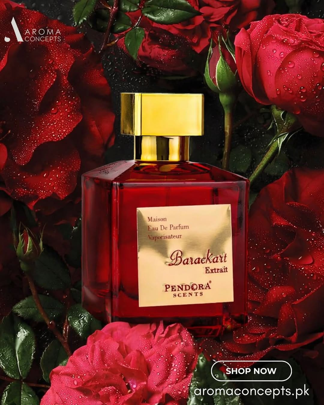 Post 4 by Aroma Concepts Pk on Instagram (image)