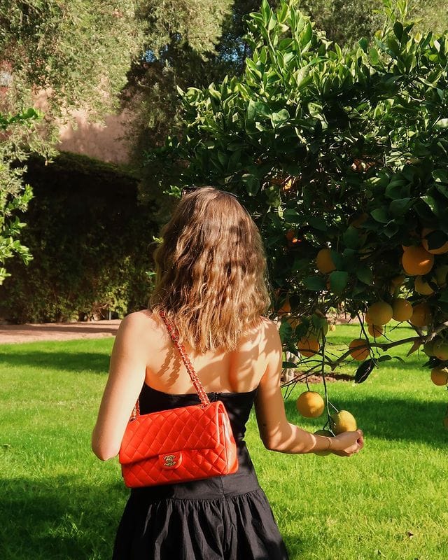 Post 1 by Vintega on Instagram (image)