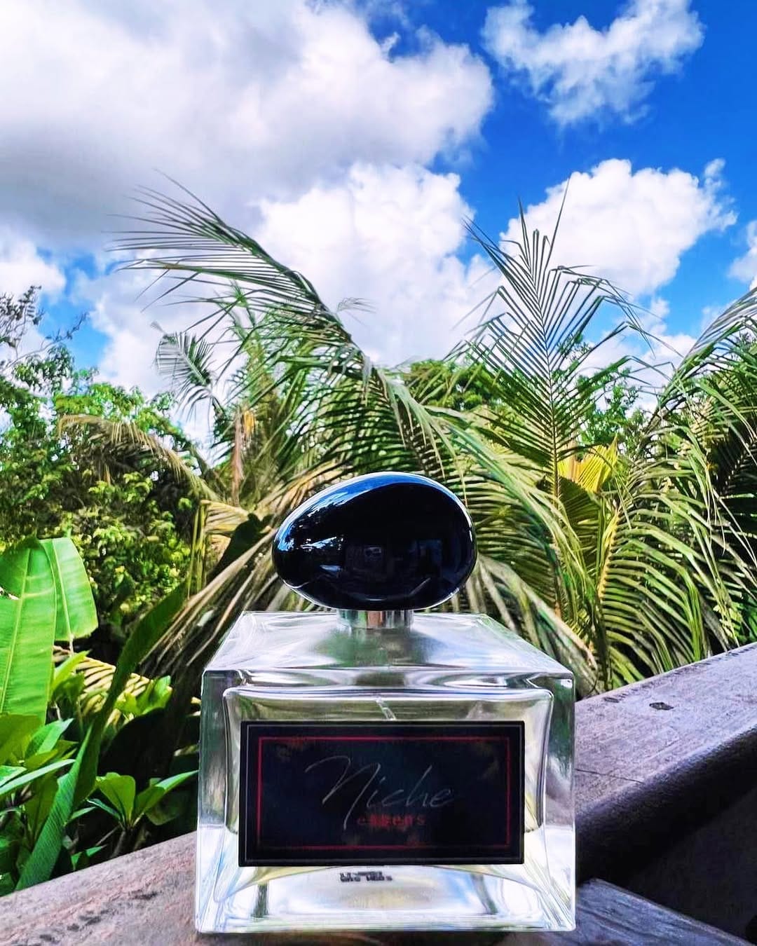Post 10 by Perfume puts the finishing touch to elegance🤭 on Instagram (image)