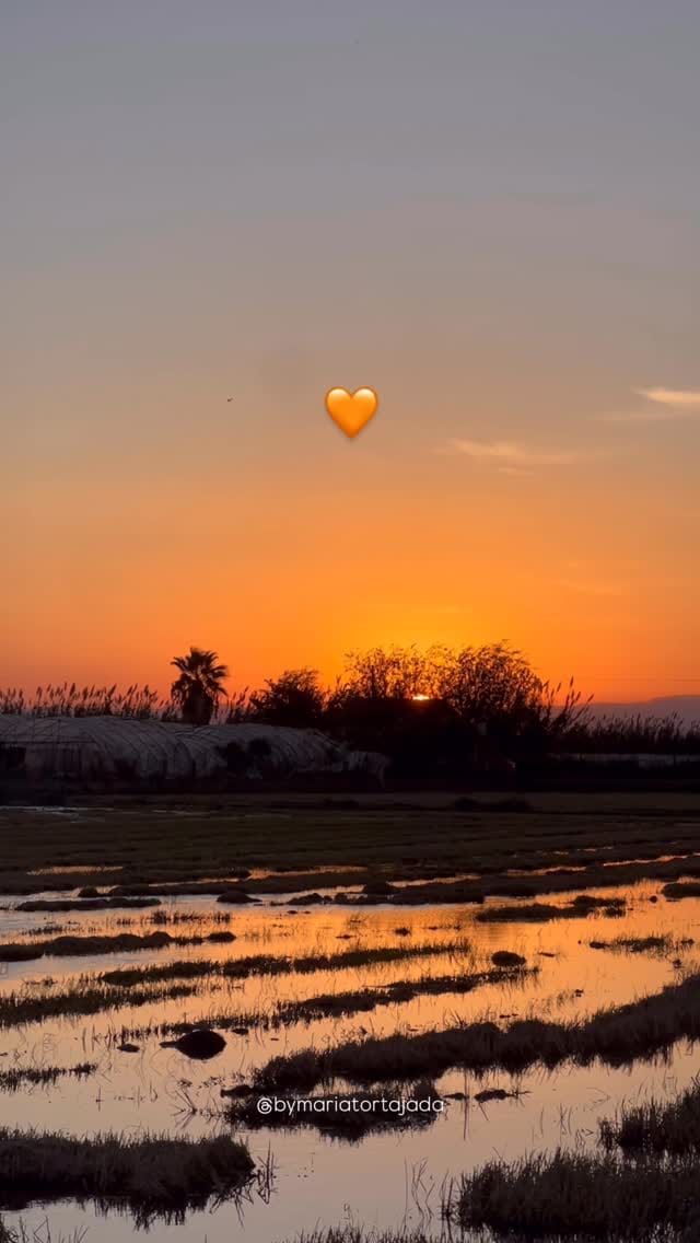 Post 8 by Maria Tortajada on Instagram (video)