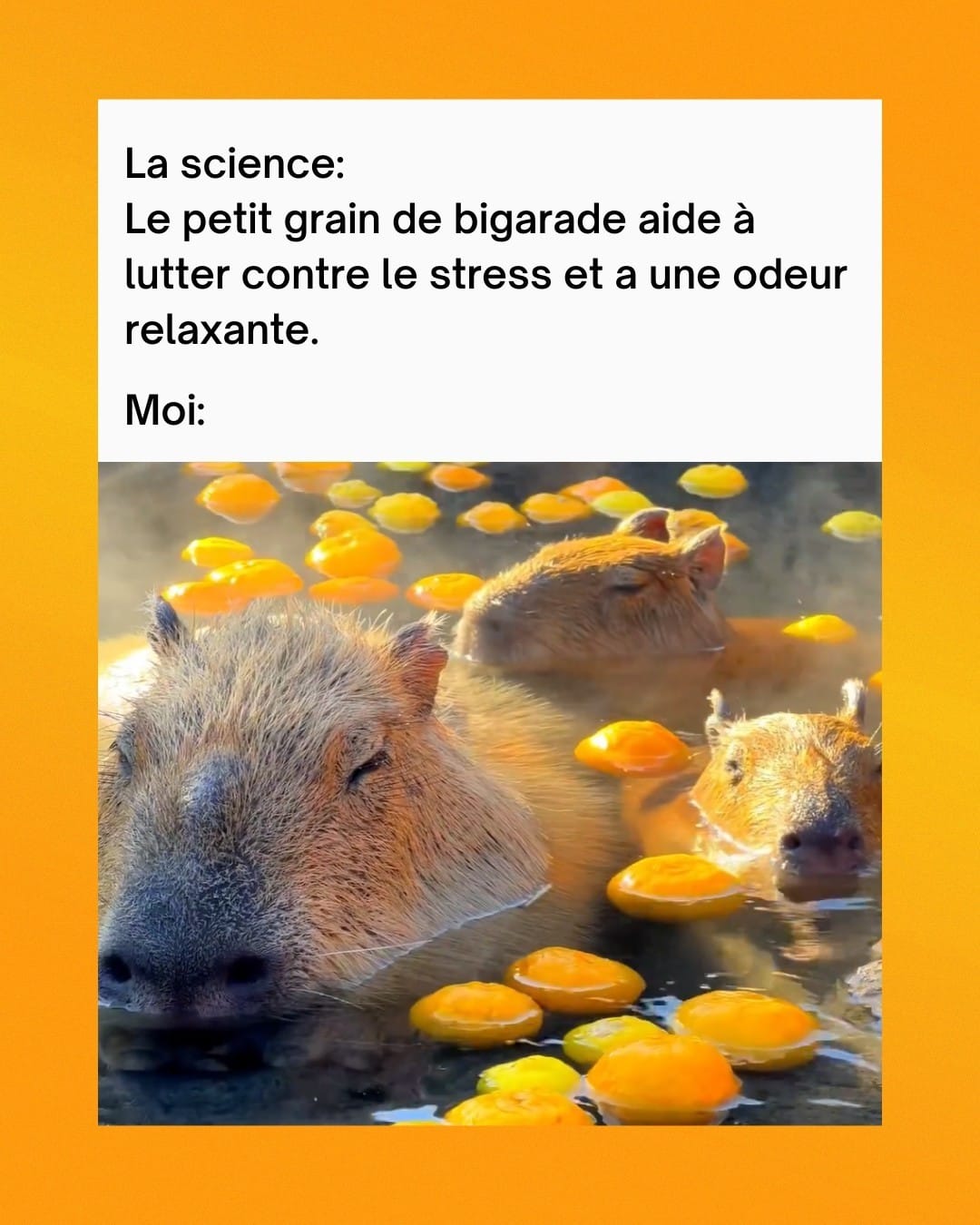 Post 10 by MEDENE - Soins aux huiles 100% bio on Instagram (image)