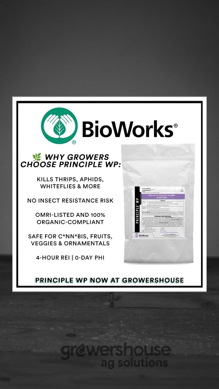 Post 5 by GrowersHouse on Instagram (video)