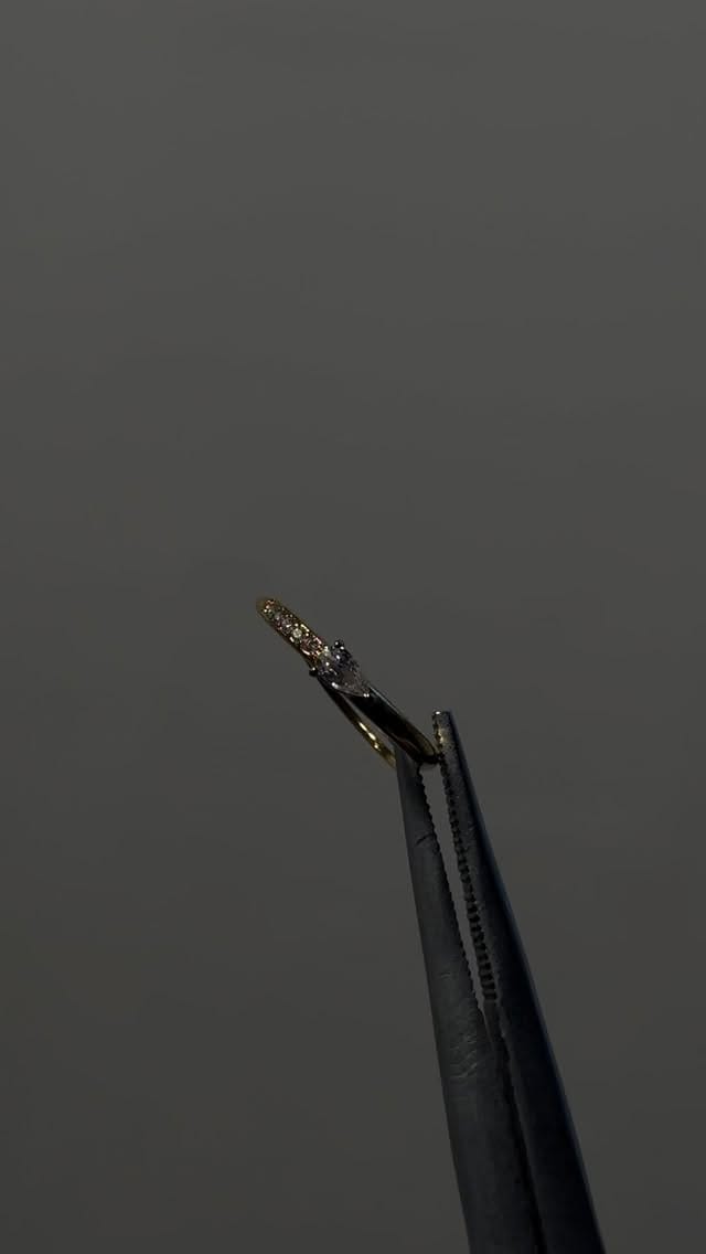 Post 9 by L’Imprévisible on Instagram (video)
