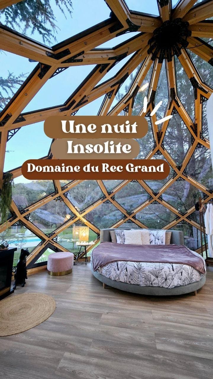 Post 10 by Barbara 👑 Toulouse | Lavaur on Instagram (video)