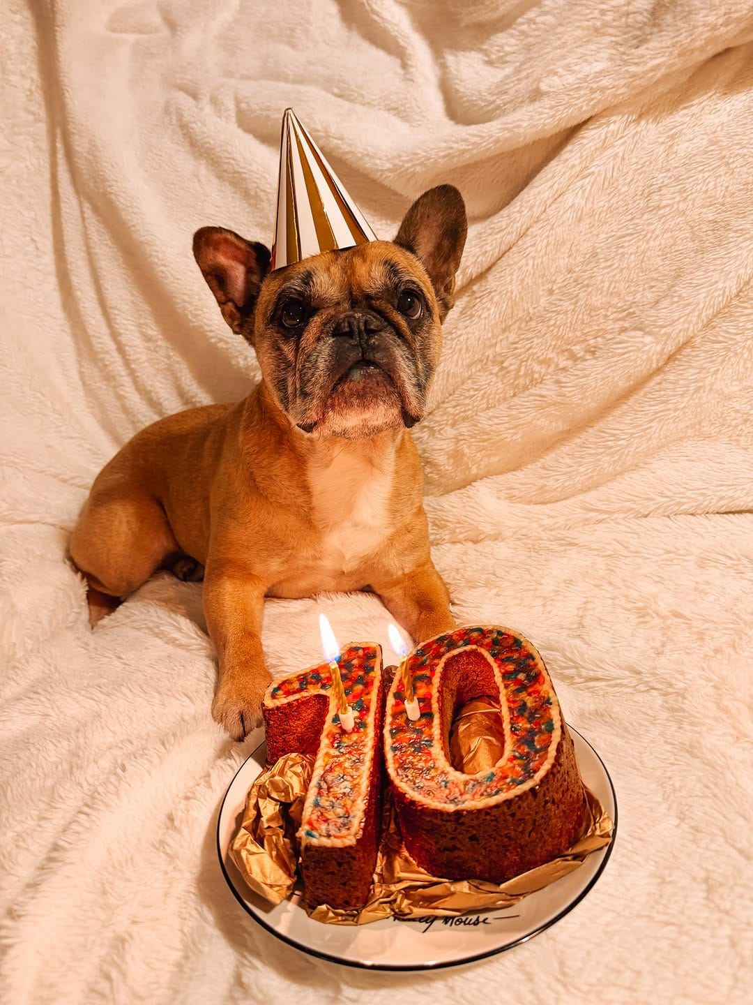 Post 6 by Laura A-Vaz on Instagram (carousel)